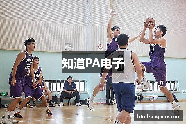 知道PA电子